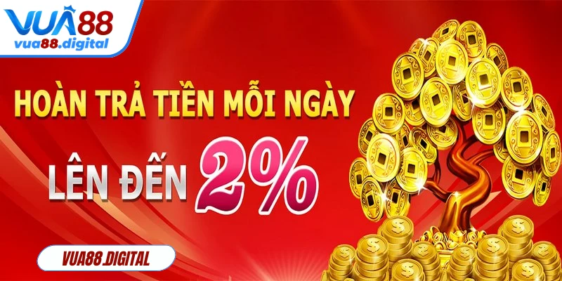 Chính sách hoàn trả cược hàng ngày là một ưu đãi được ngư thủ ưa thích