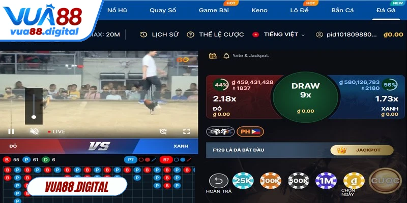 Đá gà Vua88 là nơi hội tụ những trận đấu kịch tính, hấp dẫn