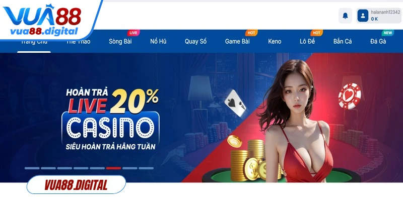 Thành viên cần nắm rõ các điều khoản liên quan đến khuyến mãi Vua88